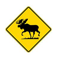 Moose Crossing Road Warning Signs -30x30 - Reflective Rust-Free Aluminum Moose Crossing Road Signs