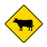 Cattle Crossing Road Warning Signs - 24x24 - Reflective Heavy Gauge Rust-Free Aluminum Livestock On Road Signs