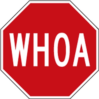 Don't STOP Believing Stop Sign - 12x12 or 18x18