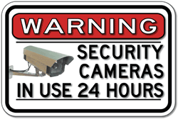 Color Security Cameras In Use 24 Hours - 18x12