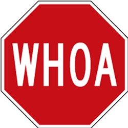 WHOA Reflective Stop Sign - 12x12 - Heavy gauge aluminum reflective Whoa Stop Signs